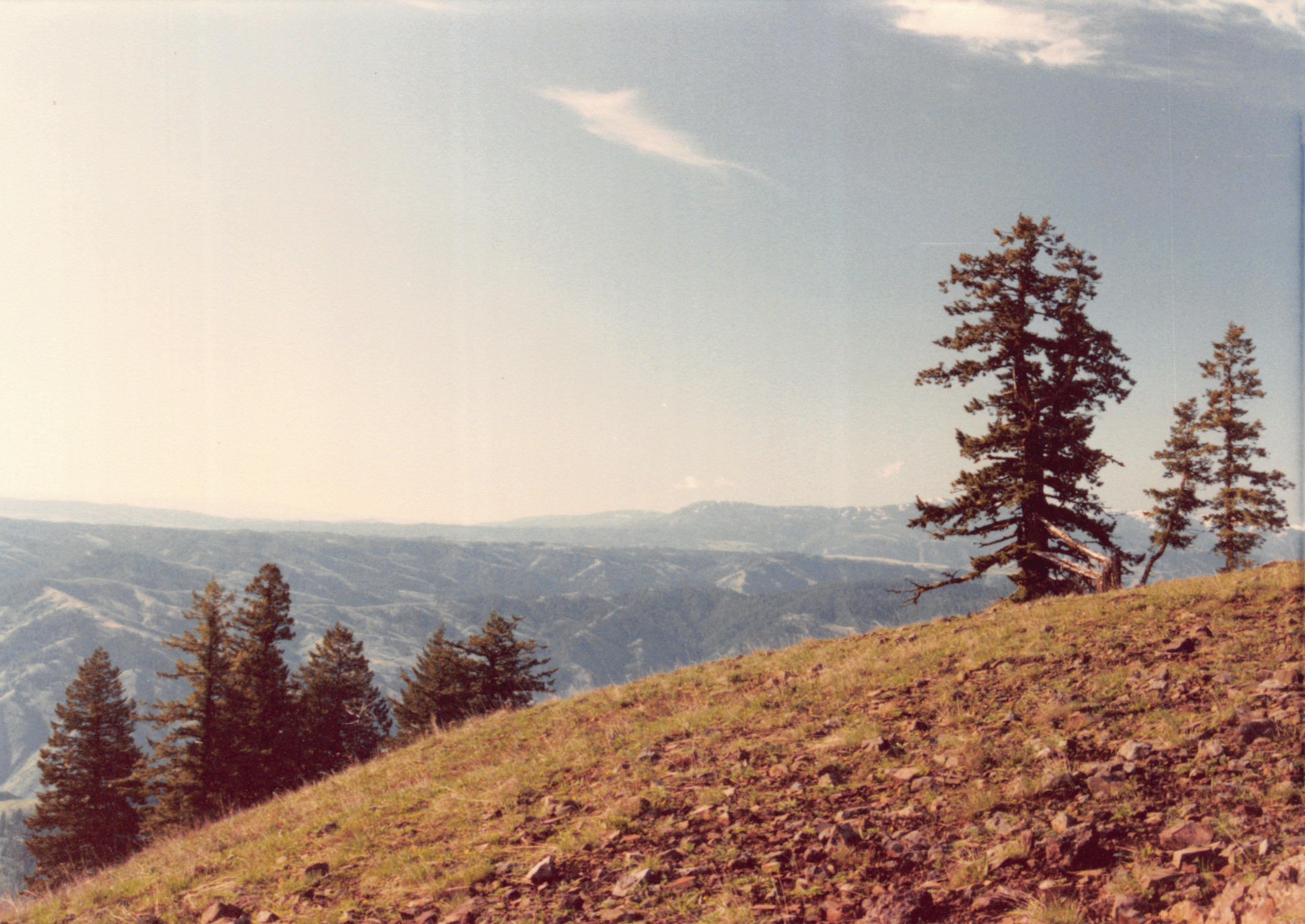 1985_Part 2_01_037.jpg